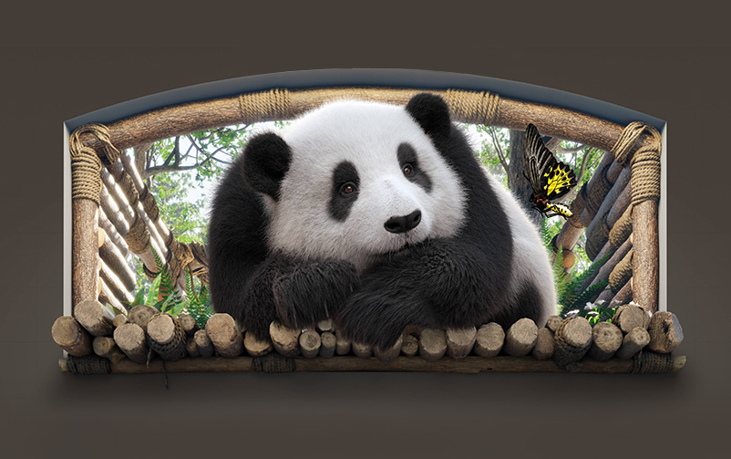 被外交部发言人“点名”的名场面！不朽情缘以数字艺术惊艳世界窗口